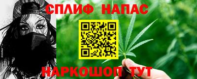 стаф Берёзовский