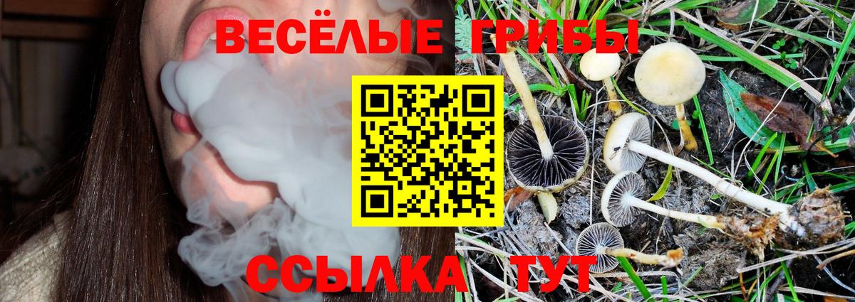 Галлюциногенные грибы Magic Shrooms  хочу   Когалым  Вход с VPN 